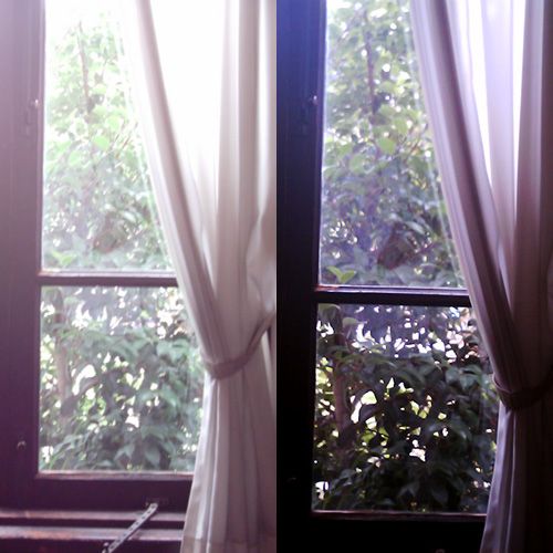 【写真】ミニデジとVQ1005で撮影した邸宅内からの窓の写真を横に並べたもの
