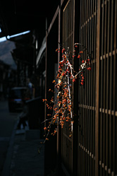 【写真】奈良井宿の町並み2