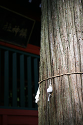 【写真】奈良井宿の町並み20