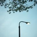 【サムネール画像】桜と街灯