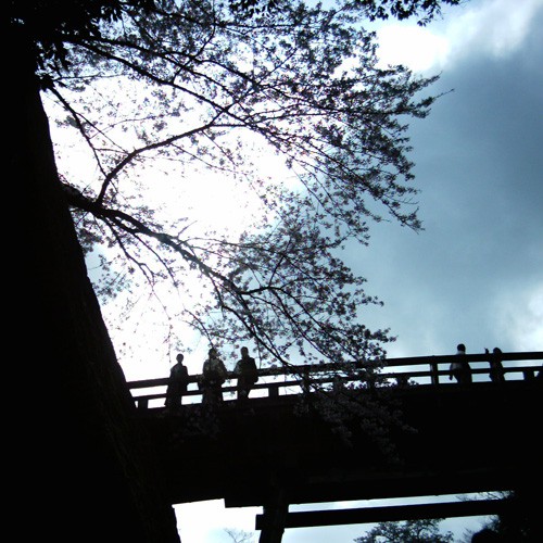 【画像】逆光から彦根城の廊下橋をミニデジで撮影