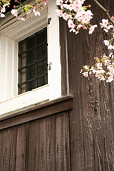 【画像】近江八幡町並み散策写真ギャラリー19〜八幡堀沿いの桜と窓2