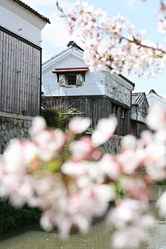 【画像】八幡伝統的建造物群保存地区 八幡堀写真ギャラリー7