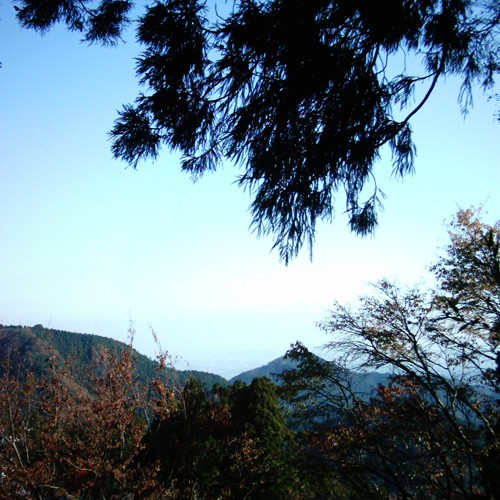 【画像】武蔵御嶽神社からの風景