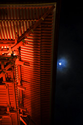 【写真】清水寺紅葉＆ライトアップの写真2