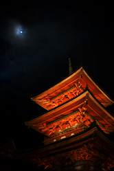 【写真】清水寺紅葉＆ライトアップの写真4
