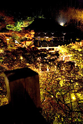 【写真】清水寺紅葉＆ライトアップの写真12