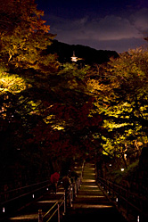 【写真】清水寺紅葉＆ライトアップの写真8