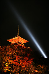 【写真】清水寺紅葉＆ライトアップの写真6