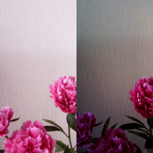 【写真】ミニデジとVQ1005で撮影した芍薬の花の写真を横に並べたもの