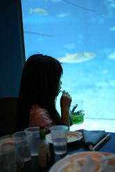 【写真】沖縄美ら海水族館の「黒潮の海」水槽前のカフェから水槽をバックに姪を撮影。