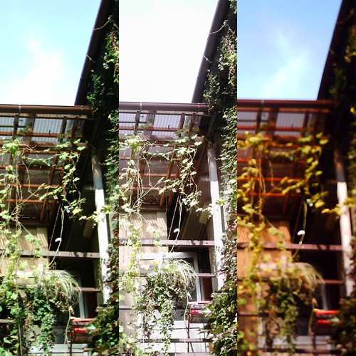 【写真】ミニデジとizone 550、VQ1005で撮影した蔦に囲まれた建物の写真を横に並べたもの
