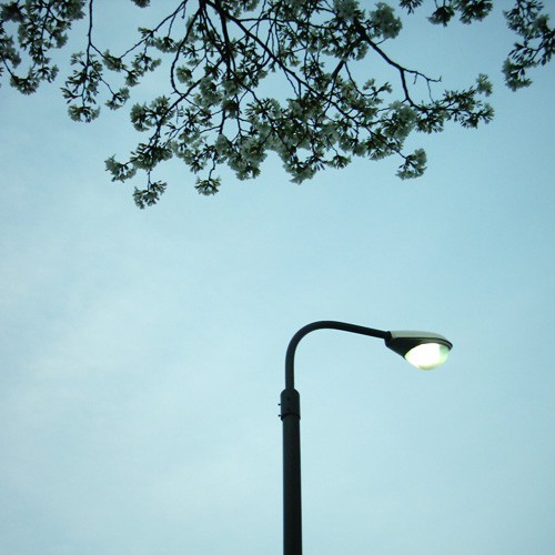 【画像】桜の木の下で点る街灯をミニデジ（MiniDigi）で撮影