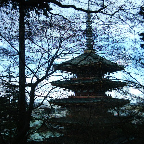【画像】関東三大不動の一つ高幡不動尊の五重塔を元旦にミニデジで撮影4