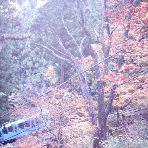 【画像】ミニデジ（MiniDigi）で撮影した御岳山を登るケーブルカーと紅葉