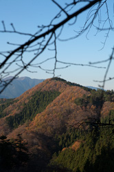 【画像】御岳山の武蔵御嶽神社からの景色