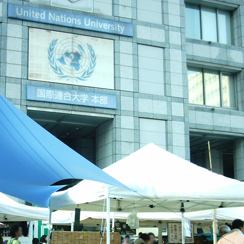 【画像】国際連合大学前広場で開催されているFarmer's Market
